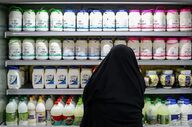 کاهش سرانه مصرف لبنیات؛ زمزمه دوباره گرانی شیر خام و نگرانی دامداران