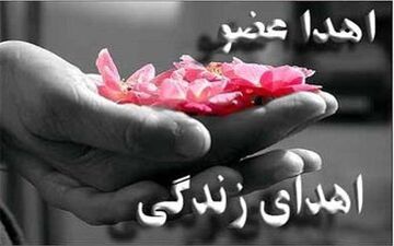 بیمار مرگ مغزی زندگی دوباره را به چند نفر هدیه داد