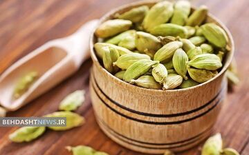 سالم‌ ترین دیکلوفناک و مسکن دنیا را بشناسید