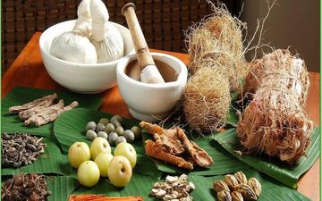 گیاهان ضد دیابت را بشناسید