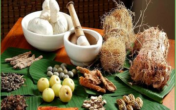 گیاهان ضد دیابت را بشناسید