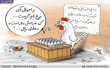  دلایل گرانی مرغ و تخم مرغ از زبان یک تشکل صنفی