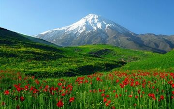  آزادسازی پلاک‌هایی از قله دماوند