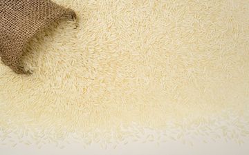 ریزش قیمت برنج در بازار؛ نرخ برنج ایرانی و هندی اعلام شد