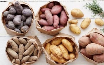 سیب زمینی هایی عجیب که تاحالا ندیده اید!