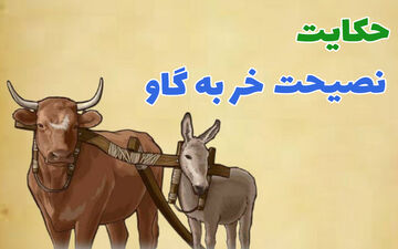 حکایت نصحیت خر بیچاره به گاو که کار دست خودش داد
