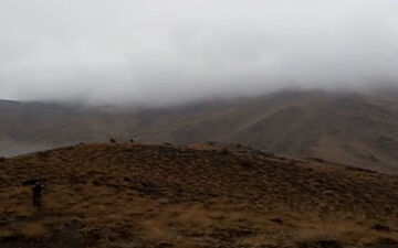 نمایی از طبیعت پاییزی در تویسرکان + فیلم 