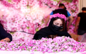 خواص معجزه‌آسای گلاب برای سلامتی بدن ؛ از درمان گلو درد تا آلزایمر 