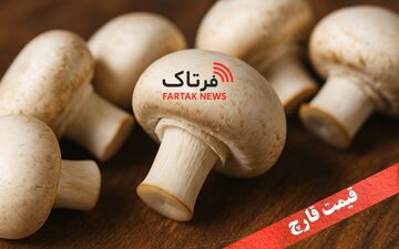 قیمت قارچ امروز یکشنبه ۱۲ بهمن ۱۴۰۴ + جدول قیمت