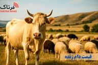 اینفوگرافی / مقایسه قیمت گوسفند زنده در ۱۰ سال اخیر