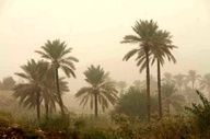 قصرشیرین رکورددار آلودگی هوا با ۹۱ روز ناسالم در سال گذشته/۱۲۳ واحد صنعتی زیر ذره‌بین محیط زیست کرمانشاه



