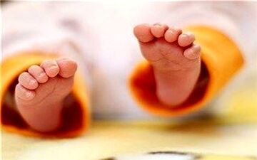  جزئیات جدید از عرضه شیرخشک