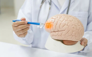 چگونه بعد از ۴۰ سالگی مغزمان را جوان نگه داریم؟