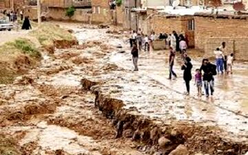 وقتی در میان ویرانی ها امید جوانه می زند + فیلم 