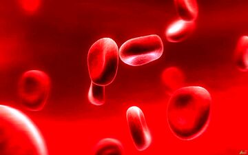 شگفتی در پزشکی؛ یک زن با ۲ گروه خونی و DNA