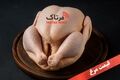 جدول قیمت مرغ امروز؛ آخرین نرخ فیله، ران، سینه و تخم‌مرغ در بازار