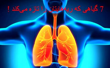 7 گیاهی که ریه‌هایتان را تازه می‌کند!