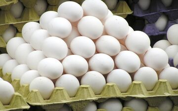  تخم مرغ بیشترین افزایش قیمت سالیانه را در سال 96 داشت