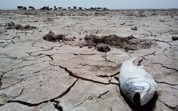 «ابتکار تازه» در توسل به دروغ برای پرآب نشان دادن تالاب هامون