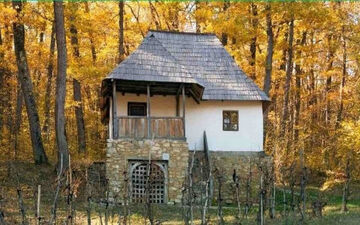 اگر فکر میکنی تیزبینی بگو ببینم روباه کجای تصویر قرار دارد؟