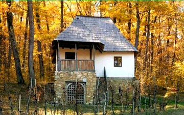 اگر فکر میکنی تیزبینی بگو ببینم روباه کجای تصویر قرار دارد؟
