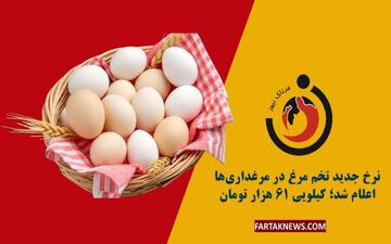  قیمت تخم‌مرغ تغییر کرد/ گران‌تر شد؟ 