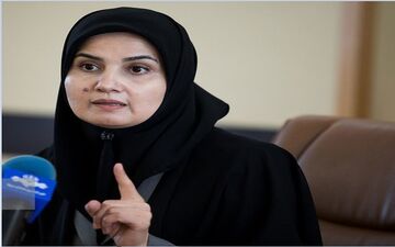 معاون حقوقی رییس جمهوری: حفظ کسب و کارهای کوچک اولویت دولت است