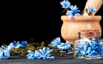 اشکال دارویی کاسنی