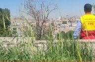  خطر آتش‌سوزی به دلیل «انباشت پوشش گیاهی» پس از بارندگی‌های اخیر در کرمانشاه