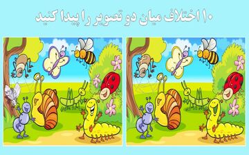 ببینم می تونی 10 اختلاف با مزه این حیوانات رو پیدا کنی! + پاسخ