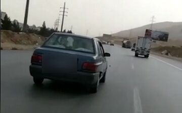 حمل گوساله با پراید! + فیلم 