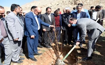 کاشت ۲۰۰ اصله درخت‌جنگلی در مجتمع بیمارستانی امام‌‌ رضا(ع) 



 