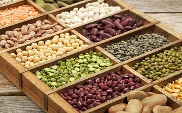 ثبات قیمت حبوبات تا پایان سال، گزارش رئیس انجمن حبوبات