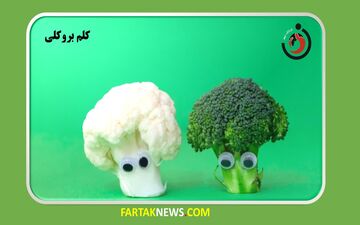 بروکلی میل جنسی را افزایش می دهد
