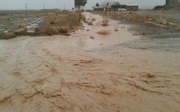 بارندگی در خراسان جنوبی موجب آبگرفتگی معابر شد