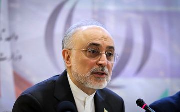 صالحی درگذشت خواهر سید حسن نصرالله را تسلیت گفت