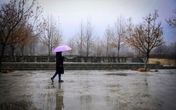  آغاز بارش ها از عصر سه شنبه