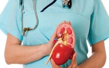 اثر گرمای هوا بر بیماری کلیوی
