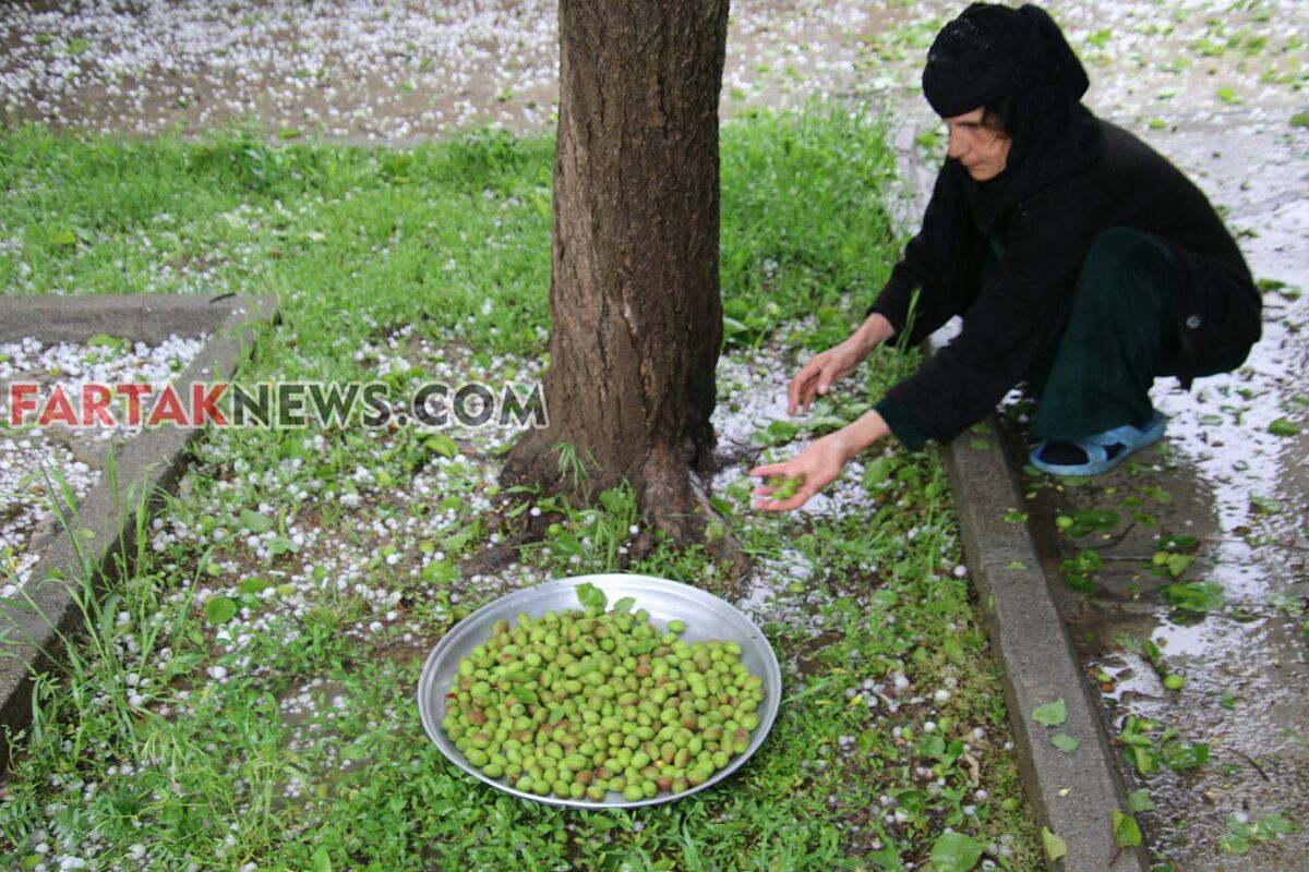 تگرگ در گهواره