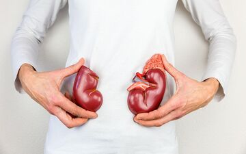 بهترین خوراکی ها برای پاکسازی کلیه‌