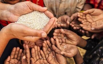 زنگ خطر در بازار مواد غذایی/ جهان در آستانه گرسنگی شدید