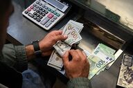 عدم مداخله دولت در بازار ارز؛ پیش‌بینی دلار ۲۵۰ هزار تومانی
