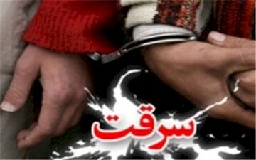 سارقان حرفه ای محتویات خودرو در اهواز دستگیر شدند 