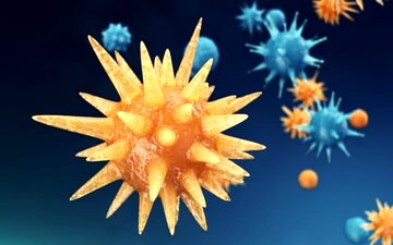 بین ویروس HIV با ایدز، ۲۰ سال فاصله است!