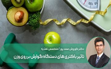 تاثیر باکتری های دستگاه گوارش بر چاقی و افزایش وزن

