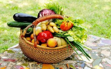 خطر آلودگی سبزیجات به مدفوع سگ و گربه/ هشدار به مصرف لبنیات غیرپاستوریزه