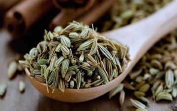 زیاده روی در مصرف رازیانه عوارض  دارد

