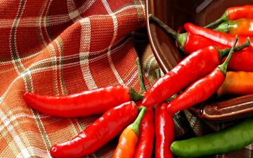 بهترین و بدترین غذاها برای زخم معده