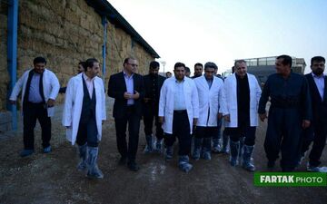 اختصاصی/ بازدید رئیس ستاد اجرایی فرمان حضرت امام (ره) از گاوداری 1000رأسی کاوات+تصاویر 