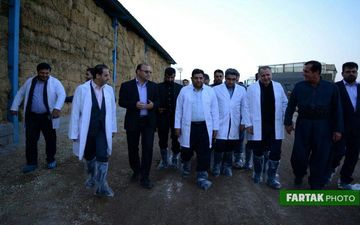 اختصاصی/ بازدید رئیس ستاد اجرایی فرمان حضرت امام (ره) از گاوداری 1000رأسی کاوات+تصاویر 